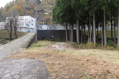 0934Osj103 0934Osj103