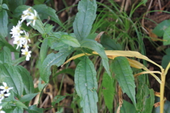 0825Gto104 0825Gto104