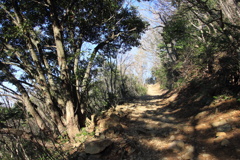 0938Gty173