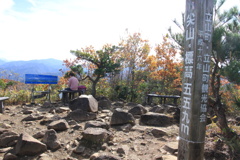 1110Gtg139
