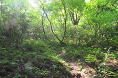 0859Uks113 0859Uks113