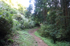 0910Gto140 0910Gto140