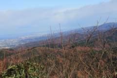 1012Gnt152 1012Gnt152