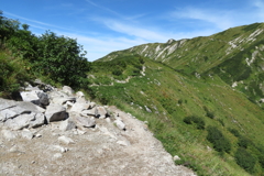 1030Okd141 1030Okd141