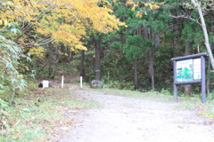 1022Gtg114