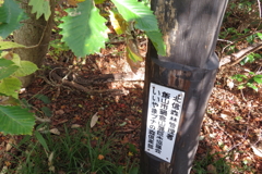 0828Gkt105