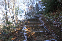 1006Gnt136 1006Gnt136