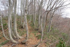 0918Ohz123 0918Ohz123