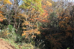 1053Gtg127