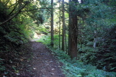 0851Gto129 0851Gto129