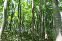 1253Uks154 1253Uks154