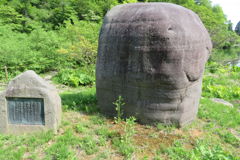 0844Tkr115 0844Tkr115