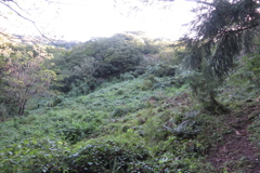 0850Okr107 0850Okr107