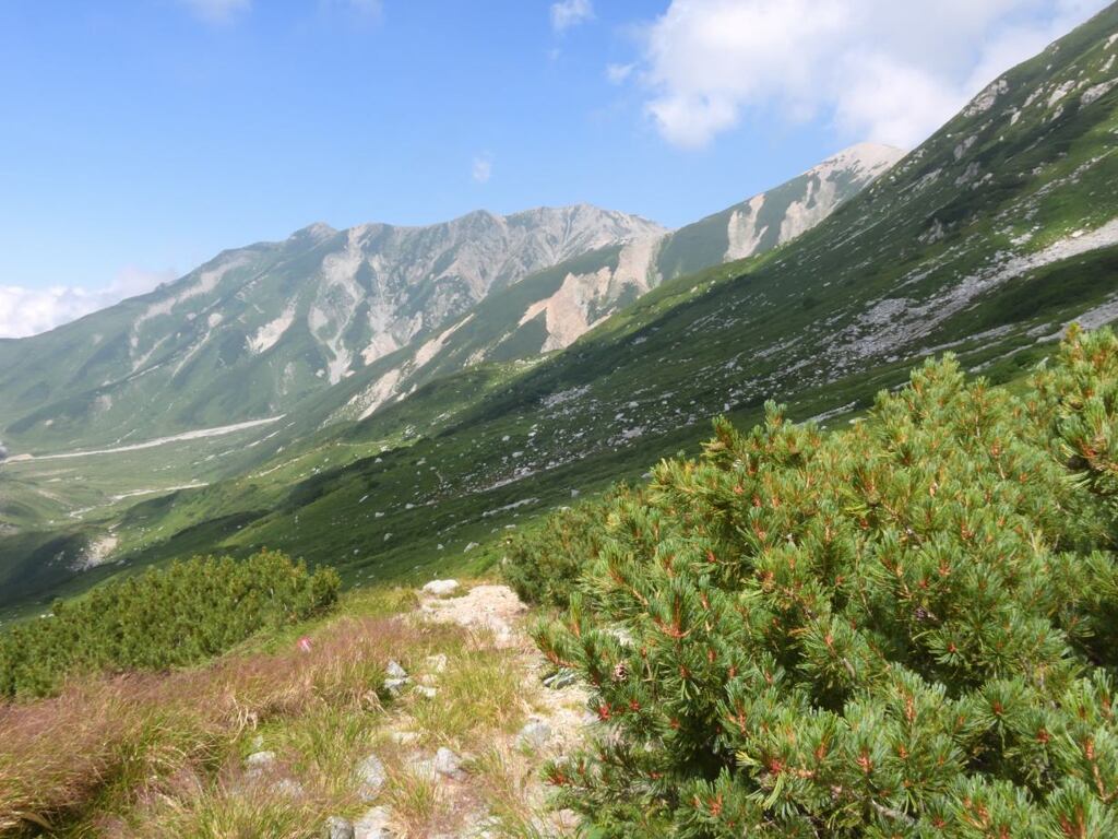 Tty200820_132036