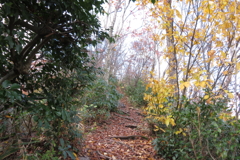 1057Osj131 1057Osj131