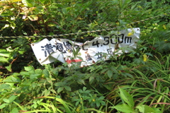 1117Okr132 1117Okr132