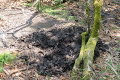 1108Uks139 1108Uks139