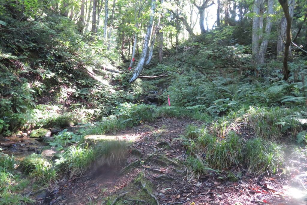 Otz201002_094422