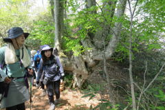 1047Uks132 1047Uks132