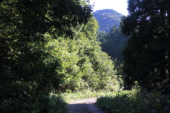 0842Gto123 0842Gto123