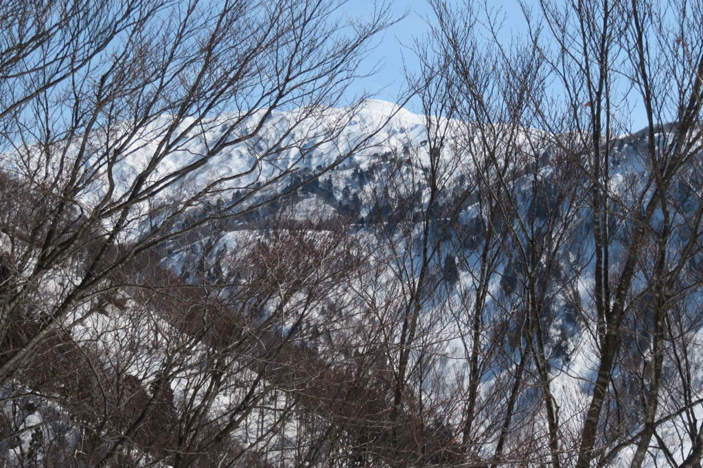 1015Usk132