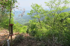 1316Uks155 1316Uks155