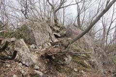 0909Ohz120 0909Ohz120