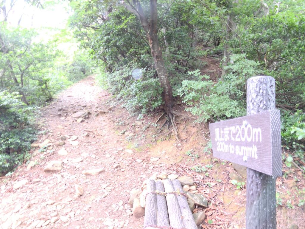 Tg200720_095433