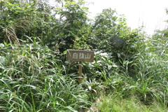 1017Wss122