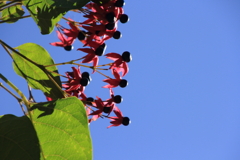 0843Gto124 0843Gto124