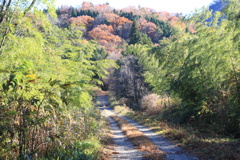 0923Gnt107 0923Gnt107