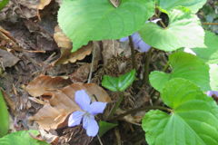 1327Uks156 1327Uks156