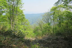 0941Uks121 0941Uks121