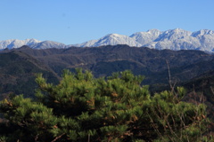 1011Gnt149 1011Gnt149