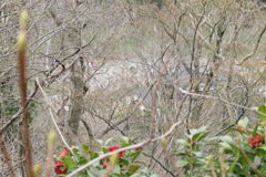 0837Ohz115 0837Ohz115