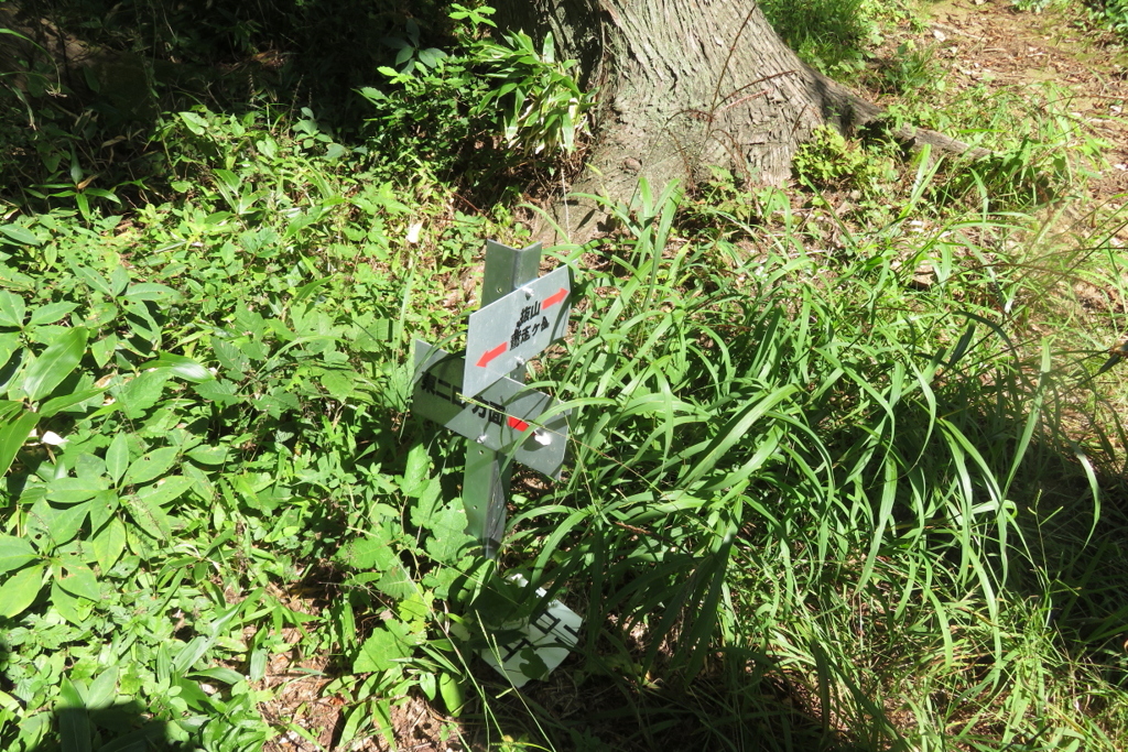 1033Wss128