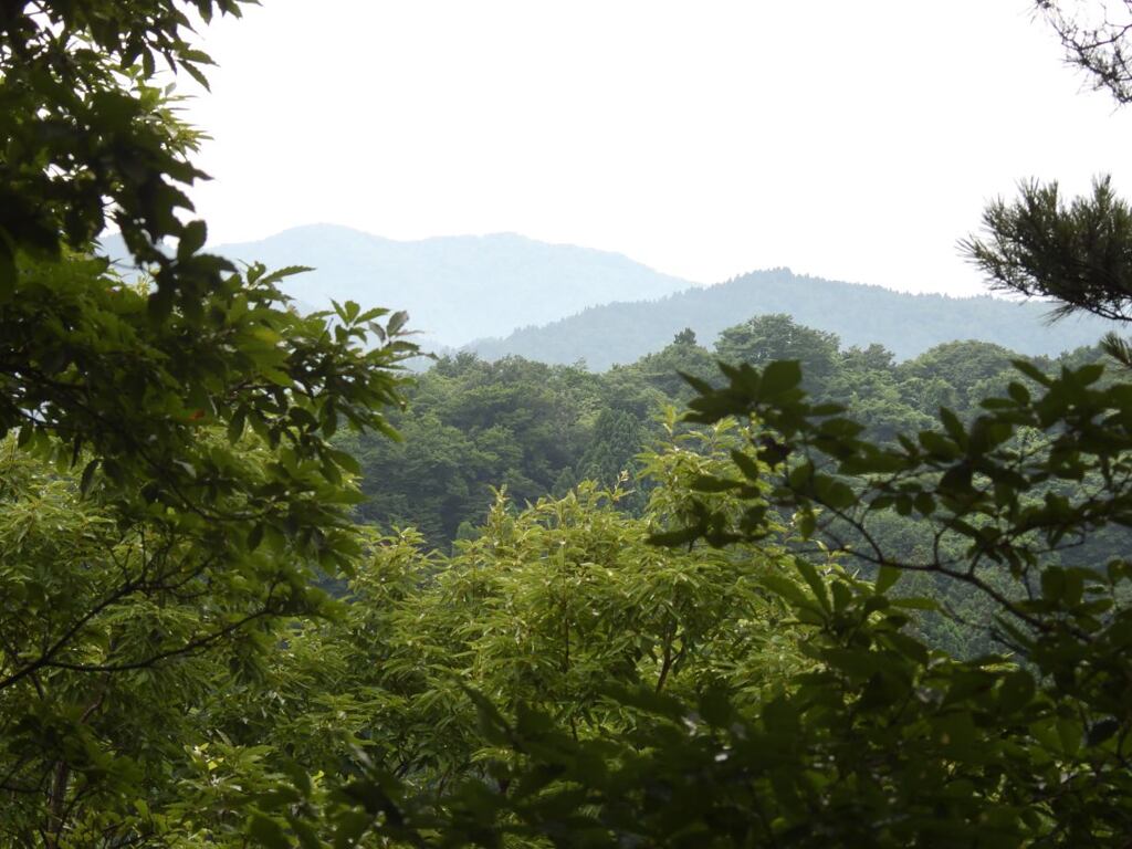 Tg200720_095940