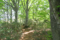 1053Uks135 1053Uks135