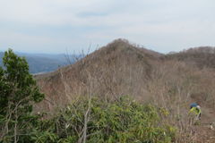 1027Ohz136 1027Ohz136