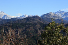 1011Gnt147 1011Gnt147