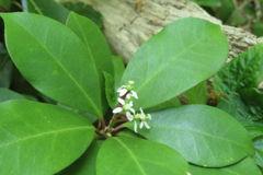 0934Uks119 0934Uks119