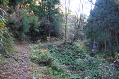 0937Gnt114 0937Gnt114