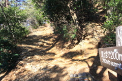 0937Gty172