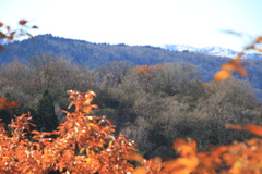 1005Gnt134 1005Gnt134