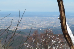 1030Gus128