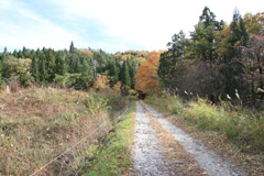 1015Gtg110