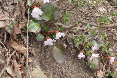 0837Ohz116 0837Ohz116