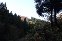 0953Gnt125 0953Gnt125