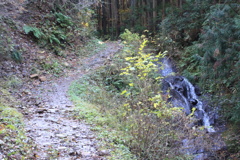 0938Gnt115 0938Gnt115