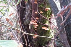 1013Osj117 1013Osj117